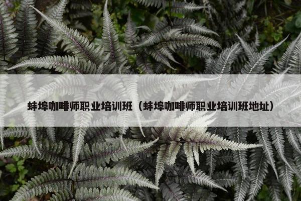 蚌埠咖啡师职业培训班（蚌埠咖啡师职业培训班地址）