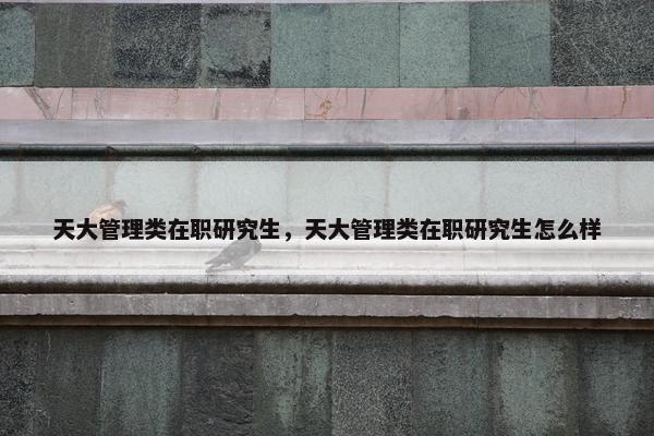天大管理类在职研究生，天大管理类在职研究生怎么样
