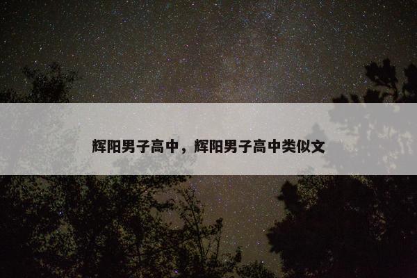 辉阳男子高中，辉阳男子高中类似文