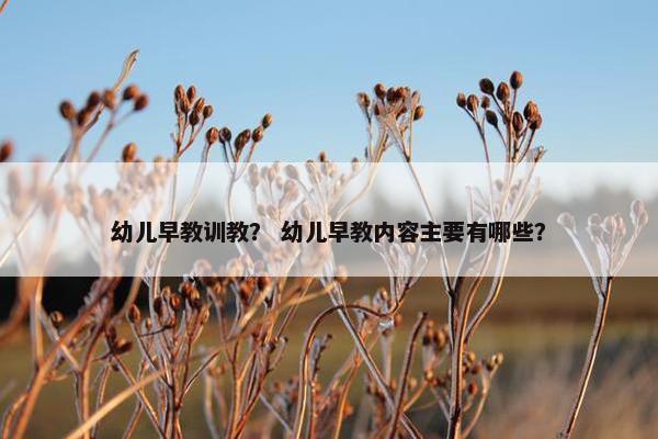 幼儿早教训教？ 幼儿早教内容主要有哪些？