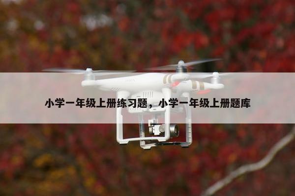 小学一年级上册练习题，小学一年级上册题库