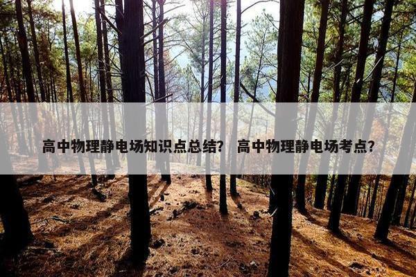 高中物理静电场知识点总结？ 高中物理静电场考点？