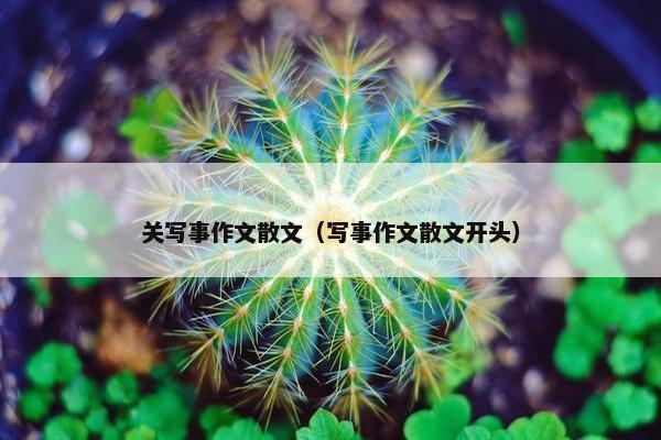关写事作文散文（写事作文散文开头）