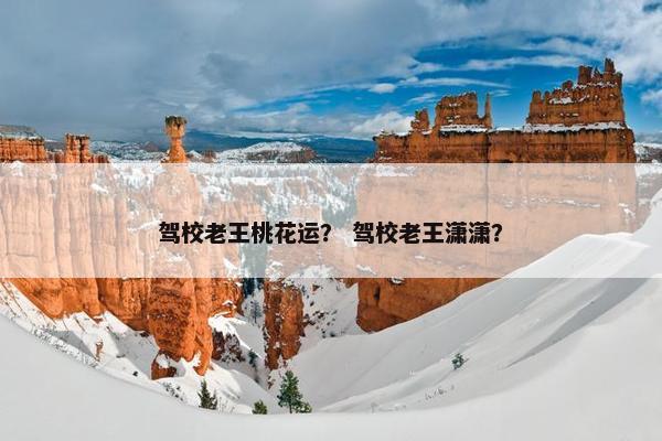 驾校老王桃花运？ 驾校老王潇潇？