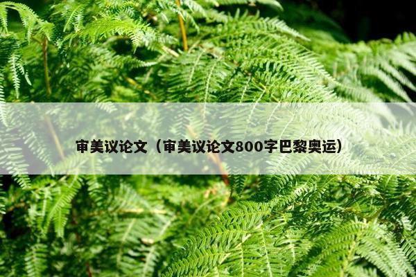 审美议论文（审美议论文800字巴黎奥运）