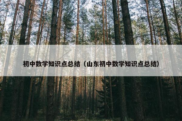 初中数学知识点总结（山东初中数学知识点总结）