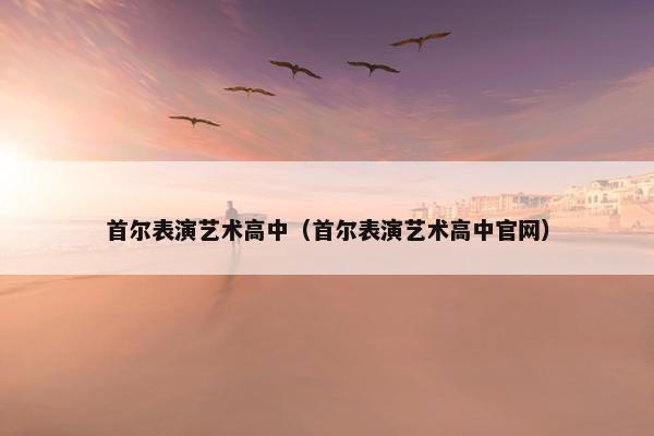 首尔表演艺术高中（首尔表演艺术高中官网）