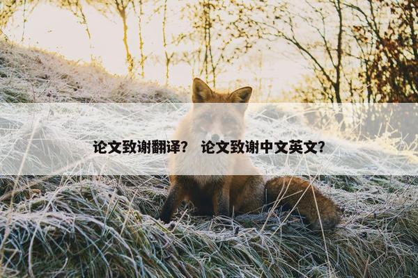 论文致谢翻译？ 论文致谢中文英文？