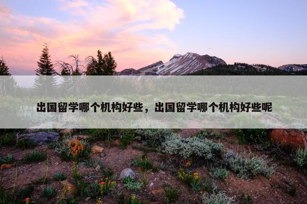 出国留学哪个机构好些，出国留学哪个机构好些呢