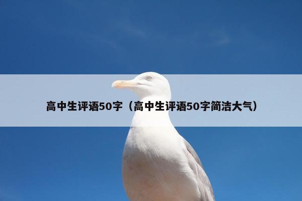 高中生评语50字（高中生评语50字简洁大气）