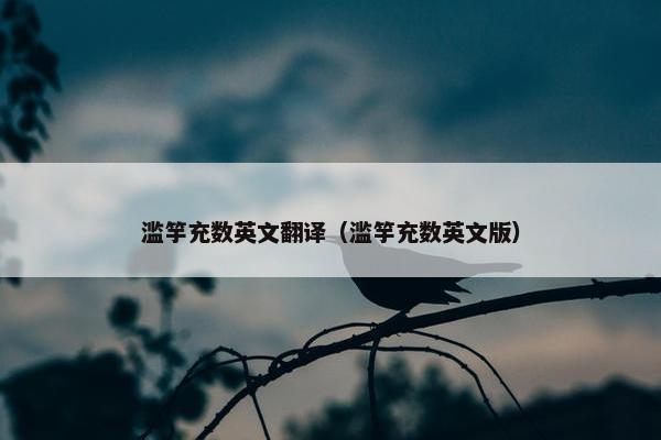 滥竽充数英文翻译（滥竽充数英文版）