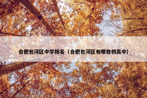 合肥包河区中学排名（合肥包河区有哪些初高中）