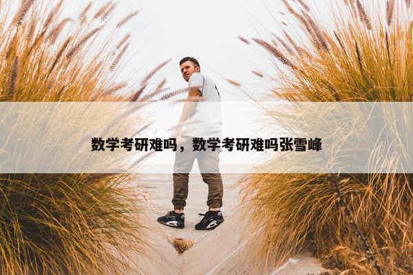 数学考研难吗，数学考研难吗张雪峰
