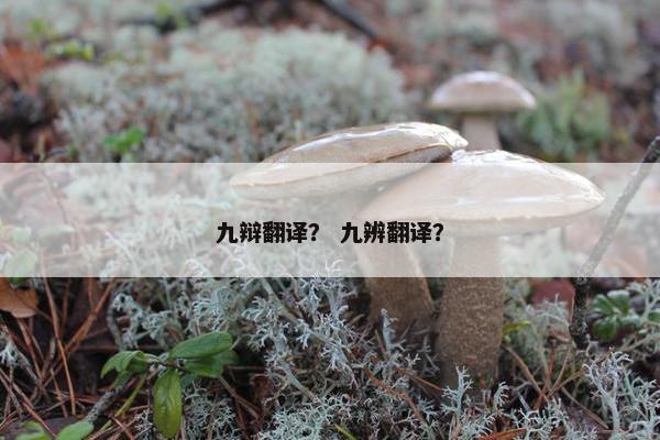 九辩翻译？ 九辨翻译？