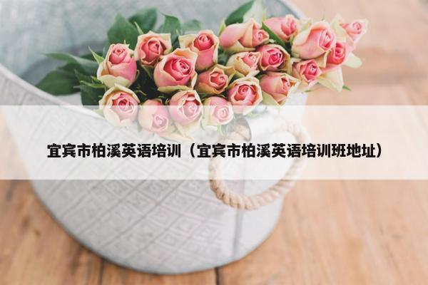 宜宾市柏溪英语培训（宜宾市柏溪英语培训班地址）