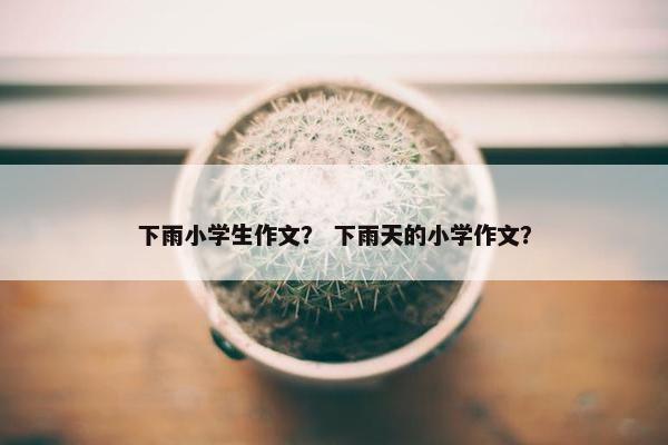 下雨小学生作文？ 下雨天的小学作文？
