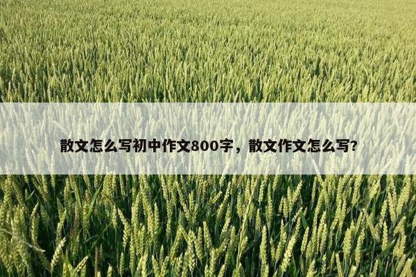 散文怎么写初中作文800字，散文作文怎么写?
