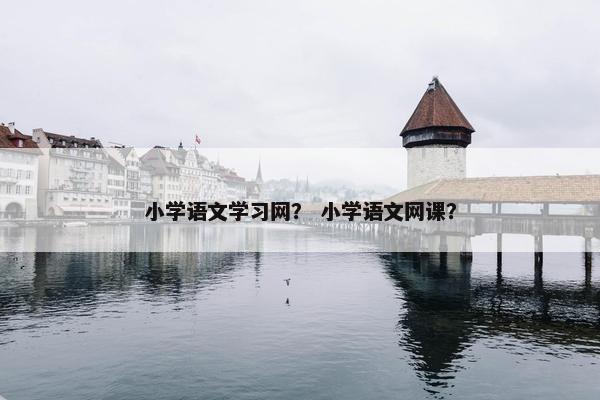 小学语文学习网？ 小学语文网课？