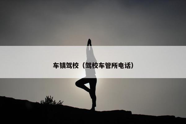 车镇驾校（驾校车管所电话）