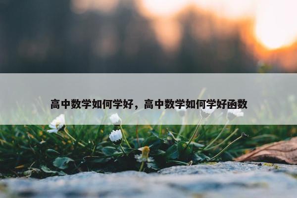 高中数学如何学好，高中数学如何学好函数