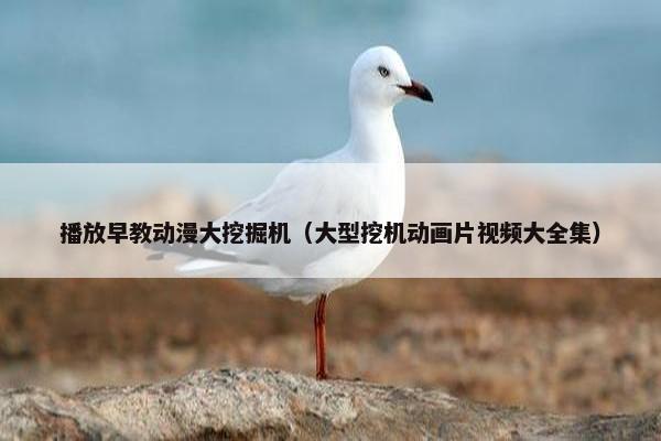 播放早教动漫大挖掘机（大型挖机动画片视频大全集）