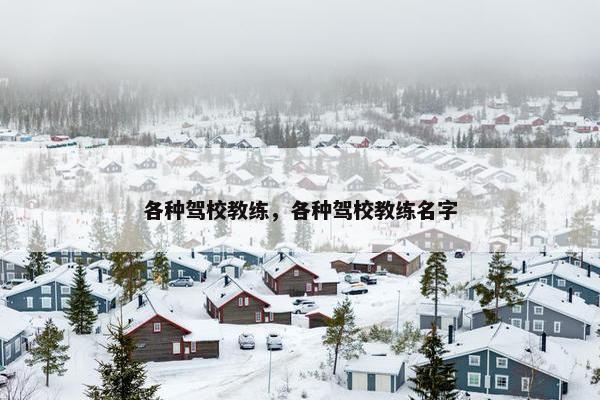 各种驾校教练，各种驾校教练名字
