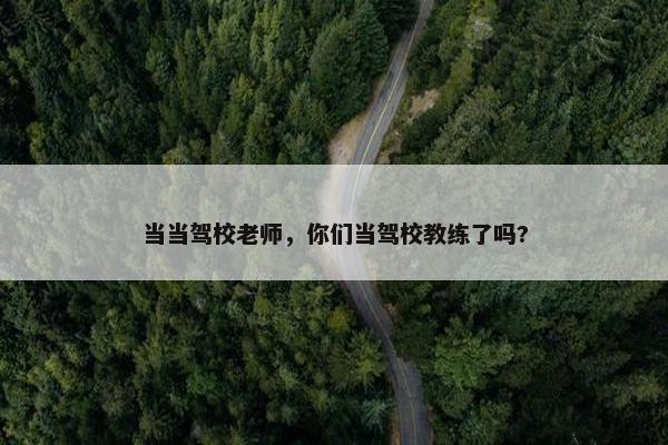 当当驾校老师，你们当驾校教练了吗?