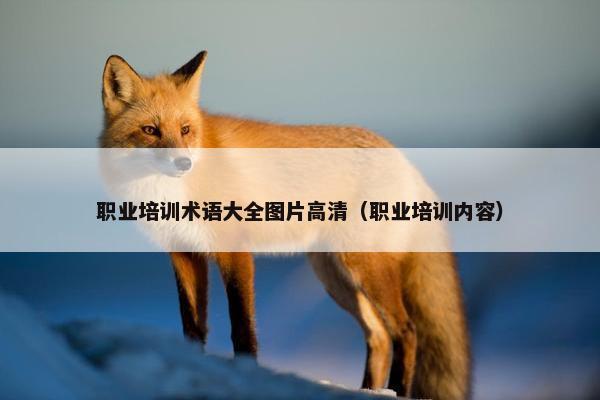 职业培训术语大全图片高清（职业培训内容）