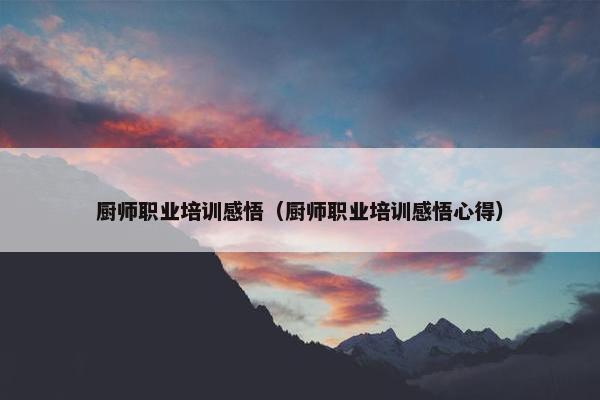 厨师职业培训感悟（厨师职业培训感悟心得）