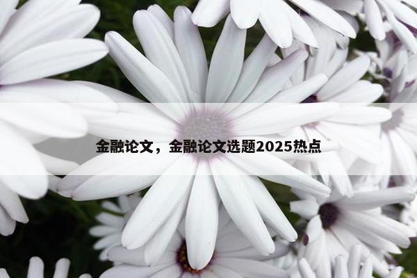 金融论文，金融论文选题2025热点