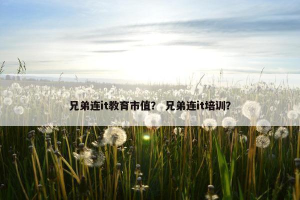 兄弟连it教育市值？ 兄弟连it培训？