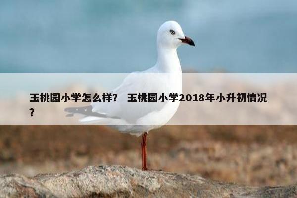 玉桃园小学怎么样？ 玉桃园小学2018年小升初情况？