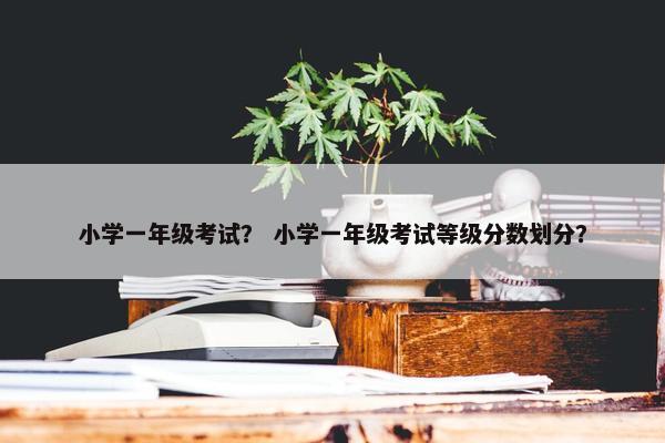 小学一年级考试？ 小学一年级考试等级分数划分？