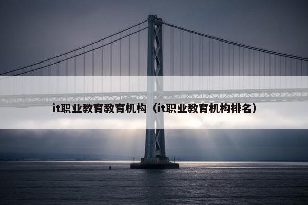 it职业教育教育机构（it职业教育机构排名）