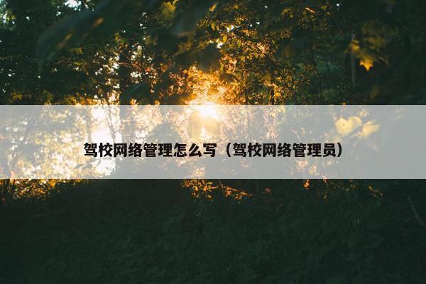 驾校网络管理怎么写（驾校网络管理员）