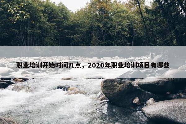 职业培训开始时间几点，2020年职业培训项目有哪些