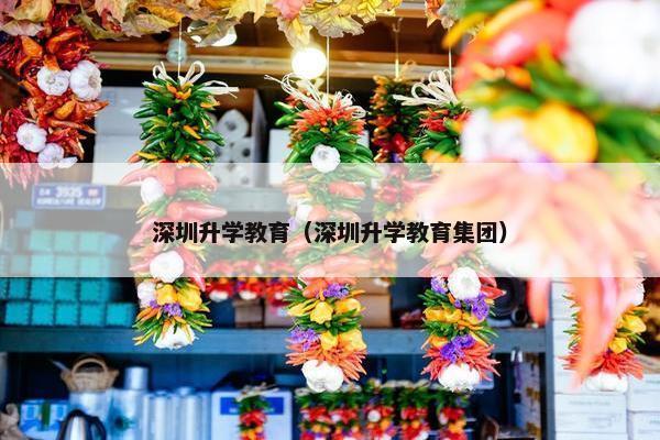 深圳升学教育（深圳升学教育集团）
