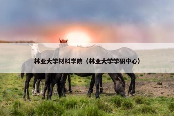 林业大学材料学院（林业大学学研中心）