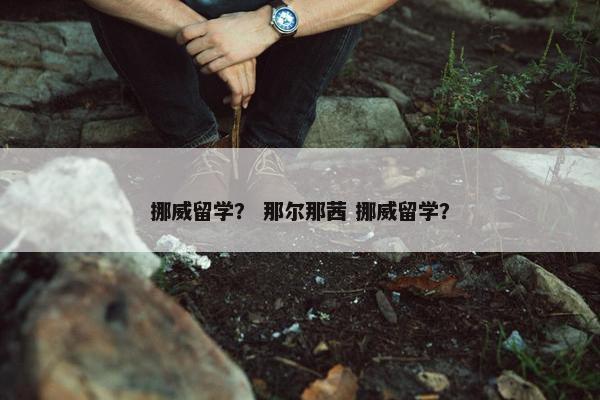 挪威留学？ 那尔那茜 挪威留学？