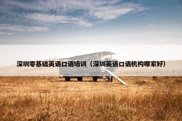 深圳零基础英语口语培训（深圳英语口语机构哪家好）