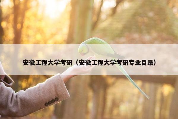 安徽工程大学考研（安徽工程大学考研专业目录）