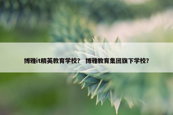 博雅it精英教育学校？ 博雅教育集团旗下学校？