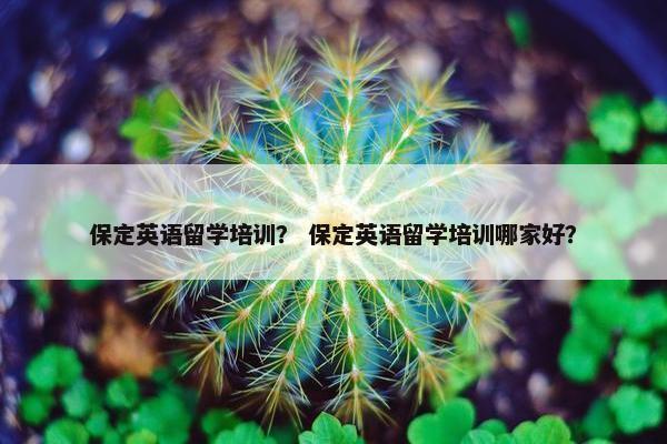 保定英语留学培训？ 保定英语留学培训哪家好？