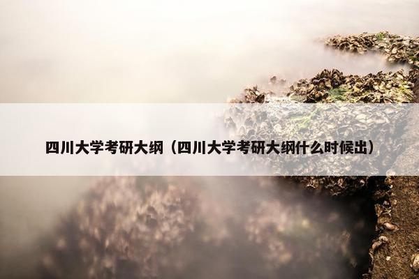 四川大学考研大纲（四川大学考研大纲什么时候出）