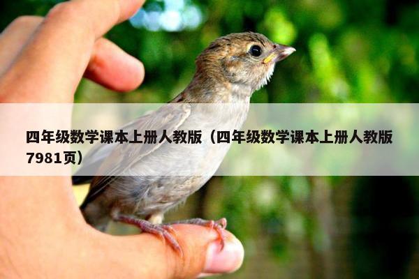 四年级数学课本上册人教版（四年级数学课本上册人教版7981页）
