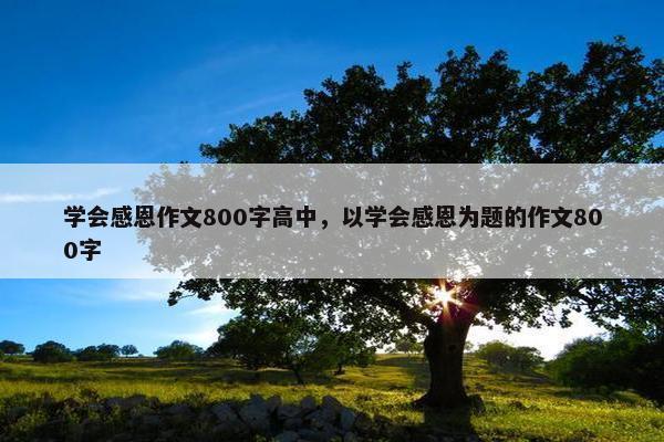 学会感恩作文800字高中，以学会感恩为题的作文800字