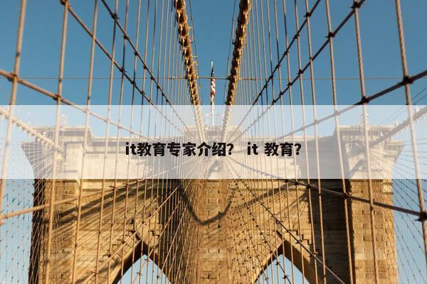 it教育专家介绍？ it 教育？