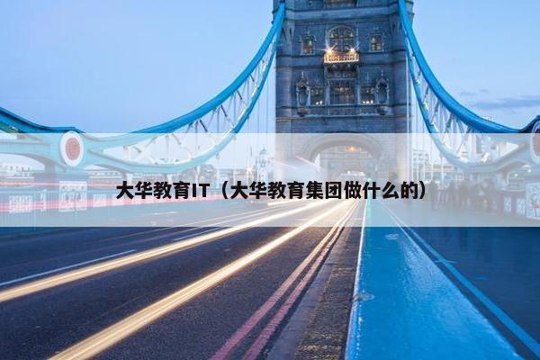 大华教育IT（大华教育集团做什么的）