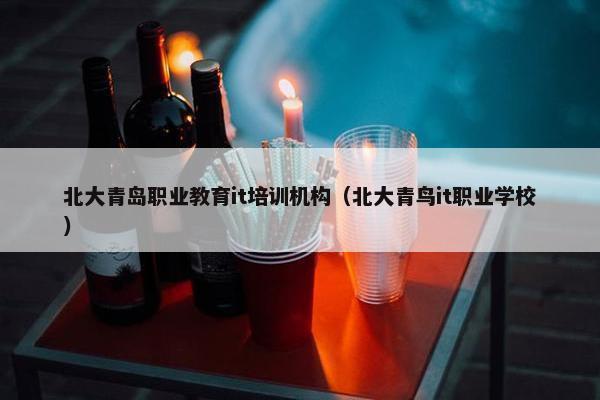 北大青岛职业教育it培训机构（北大青鸟it职业学校）