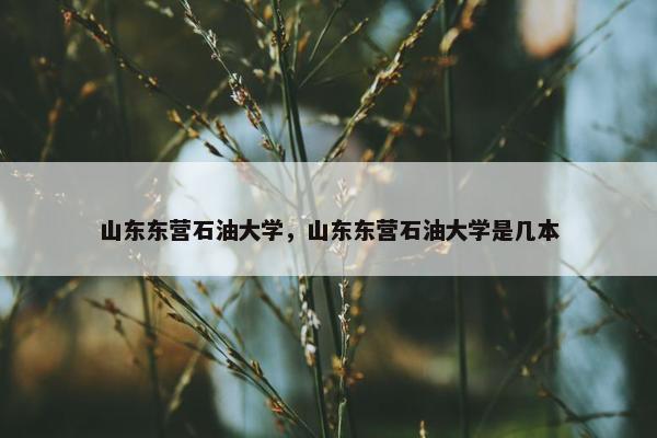 山东东营石油大学，山东东营石油大学是几本